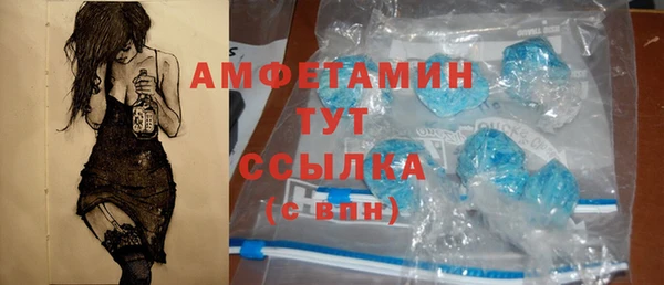 стаф Няндома