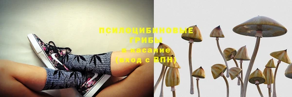 PSILOCYBIN Нягань