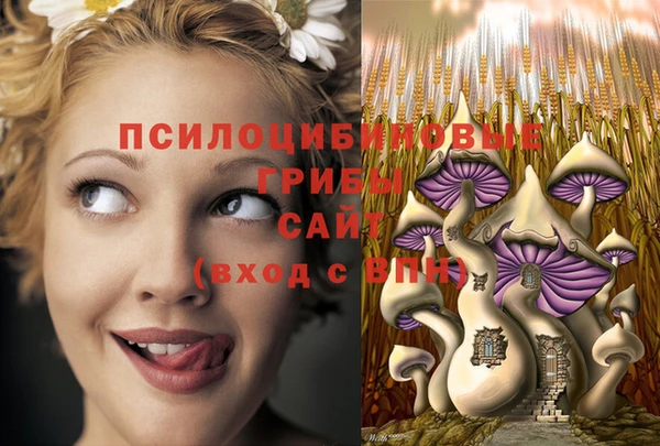 PSILOCYBIN Нягань