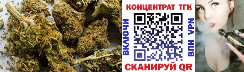 ТГК концентрат блэк спрут рабочий сайт Починок